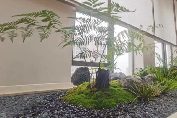 室內綠化景觀微景觀設計